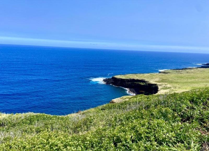 Charming 1 Bedroom Beach Condo Prime Location Great Value Pahala Kültér fotó