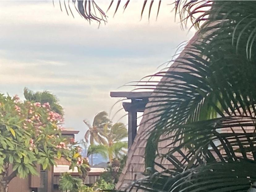 Charming 1 Bedroom Beach Condo Prime Location Great Value Pahala Kültér fotó